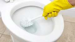 Mezzo bicchiere e un water come nuovo. Modi interessanti per pulire i vecchi sanitari