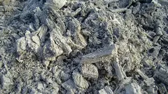 Perché non spargiamo correttamente la cenere nell'orto: 3 errori che non piacciono alle piante e al terreno. E quando non è utile