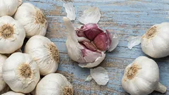 Non gettateli via: perché è consigliabile aggiungere le bucce d'aglio al terreno delle piante e a cosa servono.