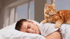  5 segni che indicano che il tuo gatto ha sentito la tua mancanza (e come lo dimostra esattamente)